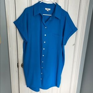 Entro Vibrant Blue Button Down Shirt Dress